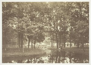 Sin título de Charles Marville