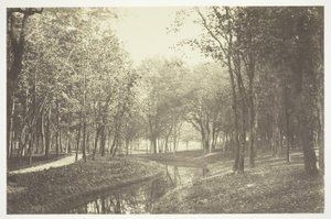 Sin Título de Charles Marville