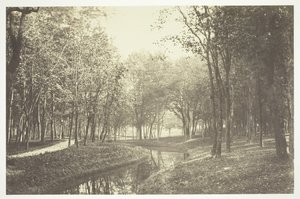 Sin título, c. 1850. [Árboles cerca del agua en el Bois de Boulogne, un parque en París] de Charles Marville