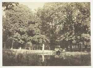 Sin título, c. 1850. [Árboles cerca del agua en el Bois de Boulogne, un parque en París] de Charles Marville
