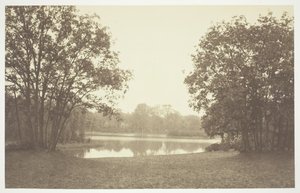 Sin título, c. 1850. [Árboles cerca del agua en el Bois de Boulogne, un parque en París] de Charles Marville