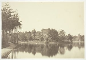 Sin título de Charles Marville