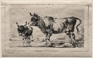 Vaca y asno, 1849 de Charles Meryon