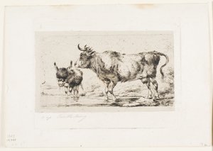 La vaca y el asno