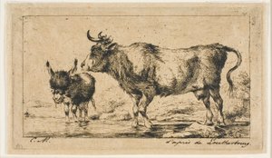 La vaca y el asno
