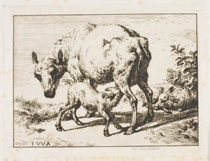 La Oveja con Dos Corderos de Charles Meryon