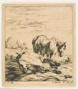 Los dos caballos
