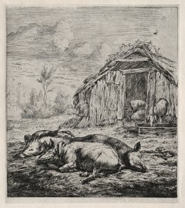 Tres cerdos tumbados frente a un establo, 1850 de Charles Meryon