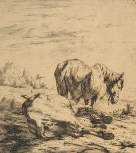 Dos caballos, 1850 de Charles Meryon