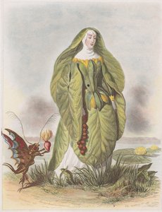 Nenúfar, de Les Fleurs Animées