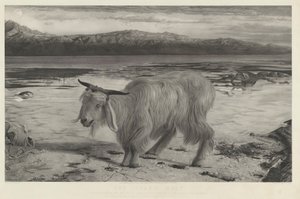 El chivo expiatorio