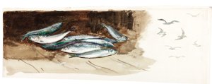 Estudio de peces