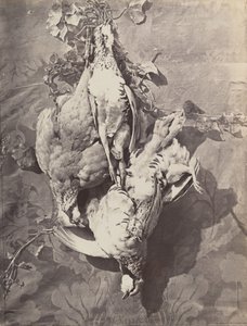 [Naturaleza Muerta con Aves de Caza] de Charles Nègre