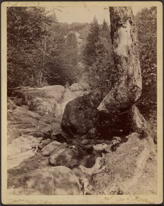 [Arroyo en cascada] de Charles P. Hibbard