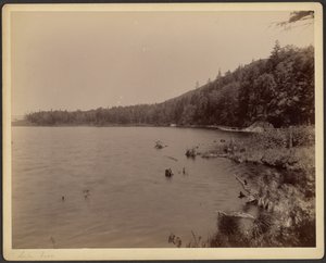 Lago Saco de Charles P. Hibbard