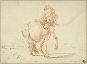 Caballo sin jinete de Charles Parrocel