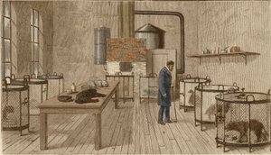 Perros en jaulas dentro del laboratorio de Louis Pasteur de Charles Paul Renouard