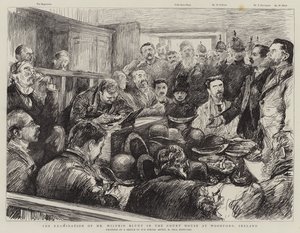 El examen del Sr. Wilfrid Blunt en el Palacio de Justicia en Woodford, Irlanda de Charles Paul Renouard