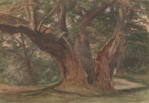 Árboles en un paisaje de Charles Reginald Aston