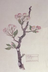 Manzana, Walberswick, 1915