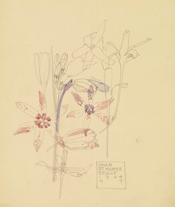 Ixias de Charles Rennie Mackintosh