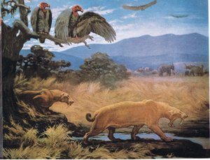Gatos de dientes de sable de Charles Robert Knight
