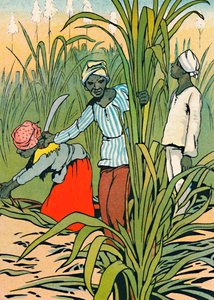 Trabajando entre las cañas de azúcar, 1912 de Charles Robinson