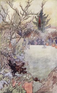 Nuestro jardín sentimental: El árbol de acebo
