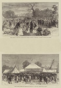 El príncipe Arturo en la Exposición de la Sociedad Real de Horticultura en Birmingham de Sir John Charles Robinson