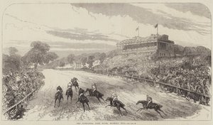 Las carreras del parque Alexandra, Muswell Hill