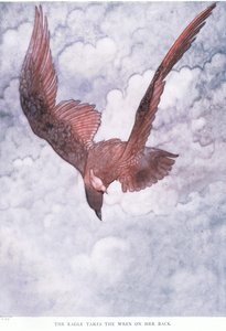 El águila lleva al chochín en su espalda