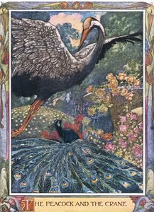El pavo real y la grulla