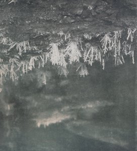 Cristales de hielo en el techo de una cueva en la cabecera del río Alph, c. 1911, 1913