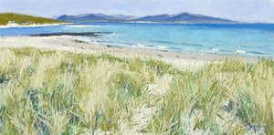 Beach Grasses, Berneray, 2011 (óleo sobre lienzo) de Charles Simpson