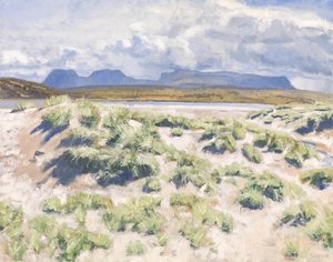 Dunas, Achnahaird, 2017 (óleo sobre lienzo)