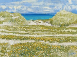 Glimpse of Harris, 2014 (óleo sobre lienzo) de Charles Simpson