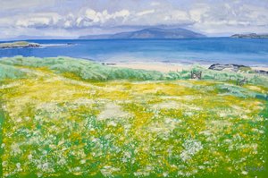 Machair, North End Iona, 2015 (óleo sobre lienzo) de Charles Simpson