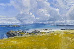 North Shore, Iona, 2015 (óleo sobre lienzo)