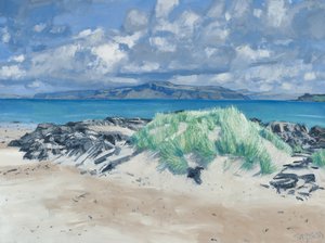 Rocas y hierbas, Iona, 2013 (óleo sobre lienzo) de Charles Simpson
