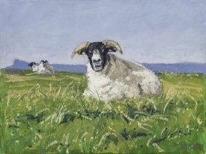 West Coast Sheep, 2017 (óleo sobre lienzo)