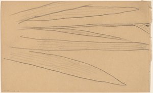Estudio de una Flor [verso]
