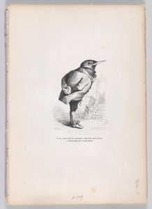 Viejo, roto, demacrado, caprichoso, pero bueno, pero dedicado, y doméstico por temperamento, ca. 1837-47 de Charles Tamisier