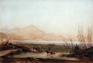 La Bahía de los Ángeles, Niza