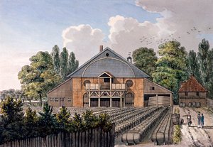 Jardines de Cuper, Lambeth, Londres, 1801