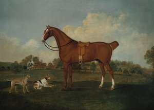 Un cazador bayo con dos sabuesos en un paisaje, con una mansión al fondo, 1779 de Charles Towne