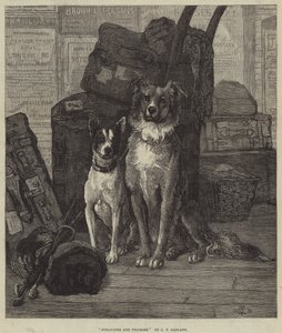 Extraños y peregrinos de Charles Trevor Garland
