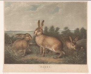 seca hazen Liebres (título sobre objeto) de Charles Turner