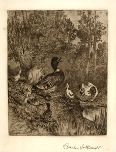 Cabeza de familia de Charles Volkmar