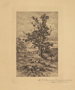 Paisaje con ovejas de Charles Volkmar