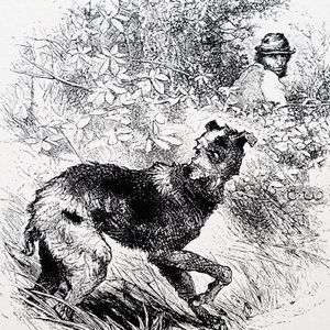 Un cazador furtivo con su galgo de Charles Whymper